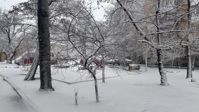 Засніжений Миколаїв Засніжений Миколаїв