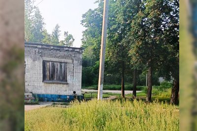 В селищі на Житомирщині 8-річного хлопчика вкусила гадюка В селищі на Житомирщині 8-річного хлопчика вкусила гадюка