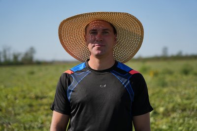 "І дрони літають, і артилерія обстрілює". Як вирощують кавуни у прифронтовому Марганці на Дніпропетровщині "І дрони літають, і артилерія обстрілює". Як вирощують кавуни у прифронтовому Марганці на Дніпропетровщині