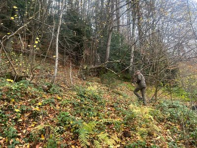 Василь Приндак у Національному природному парку "Сколівські Бескиди", 31 жовтня 2024 Василь Приндак у Національному природному парку "Сколівські Бескиди", 31 жовтня 2024