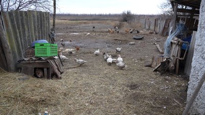 «Страшно, що росіяни сюди прийдуть": як живуть у прифронтовому селі Дачне на Дніпропетровщині