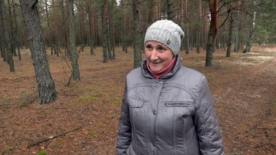 "Ходимо, поки не випаде сніг і не закриє їх": як у селах на Волині збирають пізні осінні гриби "Ходимо, поки не випаде сніг і не закриє їх": як у селах на Волині збирають пізні осінні гриби