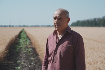 Загинули вісім тисяч гектарів: яка озимина виросла на Харківщині після заморозків і посухи Загинули вісім тисяч гектарів: яка озимина виросла на Харківщині після заморозків і посухи