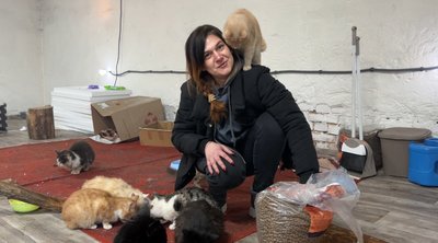 "Вони кричать, коли замерзають": як зооволонтери рятують котів від холоду на Рівненщині "Вони кричать, коли замерзають": як зооволонтери рятують котів від холоду на Рівненщині