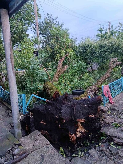 Пошкоджені дахи, повалені дерева, знеструмлені громади: наслідки грози на Кіровоградщині Пошкоджені дахи, повалені дерева, знеструмлені громади: наслідки грози на Кіровоградщині
