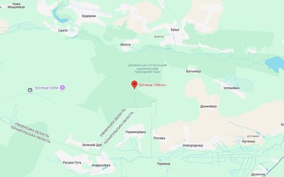 Науковці нацпарку на Рівненщині виявили нові види грибів та птахів Науковці нацпарку на Рівненщині виявили нові види грибів та птахів