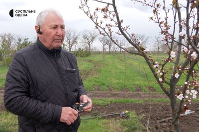 "Третя весна без сина": як на Одещині доглядають сад загиблого військового Бориса Айзенберга "Третя весна без сина": як на Одещині доглядають сад загиблого військового Бориса Айзенберга