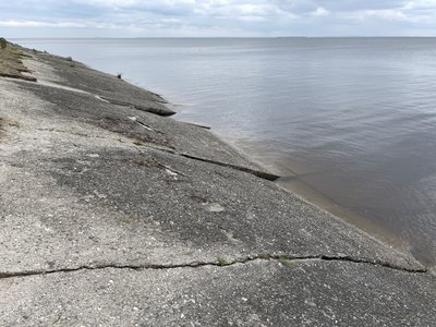 "До будинків досить недалеко": на Полтавщині через руйнування бетонної дамби підтоплює землі "До будинків досить недалеко": на Полтавщині через руйнування бетонної дамби підтоплює землі