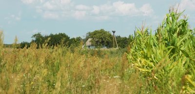 У селі залишилося троє людей. Про останніх жителів Глушицького на Рівненщині У селі залишилося троє людей. Про останніх жителів Глушицького на Рівненщині
