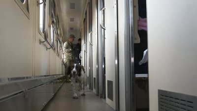 Перетин кордону під час повітряної тривоги: які алгоритми діють на Львівщині Перетин кордону під час повітряної тривоги: які алгоритми діють на Львівщині