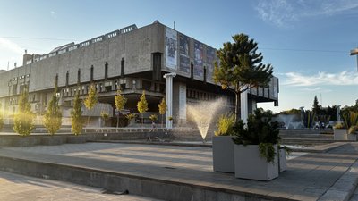 дерева висадили біля хнатоб дерева висадили біля хнатоб