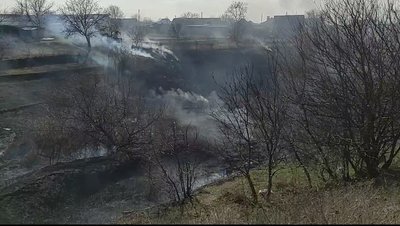 На Одещині через спалення сухої трави згорів гектар рослин На Одещині через спалення сухої трави згорів гектар рослин