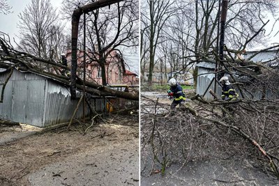 Пошкоджений дах гаража та перекритий міжбудинковий проїзд — які наслідки негоди на Буковині Пошкоджений дах гаража та перекритий міжбудинковий проїзд — які наслідки негоди на Буковині