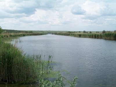 Гнилий Єланець, Гуляйгородок, Висунь та інші топоніми Миколаївщини: звідки походять дивні назви Гнилий Єланець, Гуляйгородок, Висунь та інші топоніми Миколаївщини: звідки походять дивні назви