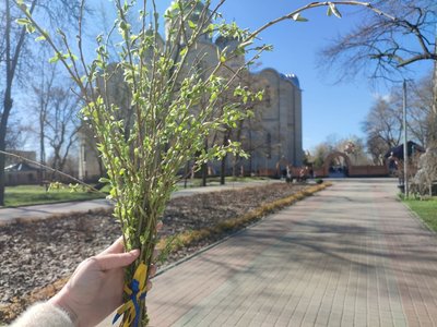 у Черкасах містяни освятили вербу у Черкасах містяни освятили вербу