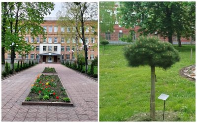 Конкурс екологічних ініціатив: яка активність жителів Полтавщини Конкурс екологічних ініціатив: яка активність жителів Полтавщини