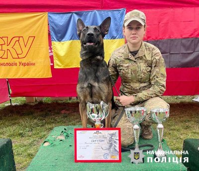 Столичний собака Базз став переможцем всеукраїнського турніру з пошуку вибухівки Столичний собака Базз став переможцем всеукраїнського турніру з пошуку вибухівки