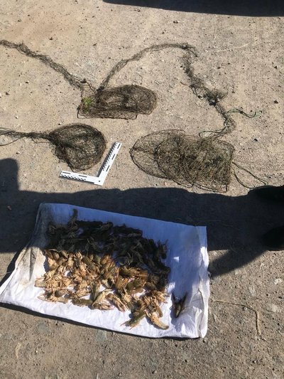 Наловив раків на понад триста тисяч гривень: на жителя Одещини склали протокол