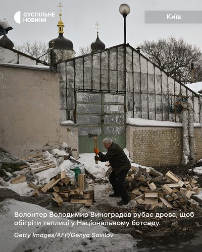 Волонтер Володимир Виноградов рубає дрова, щоб обігріти теплиці у Національному ботсаду у Києві
