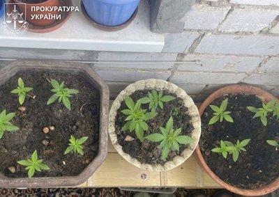 Черкащанина підозрюють у незаконному продажі зброї та наркотиків Черкащанина підозрюють у незаконному продажі зброї та наркотиків