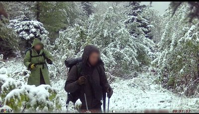 Удари РФ, основна сесія НМТ, зруйнований будинок зооволонтерки. Головні новини Дніпра та області 14 травня Удари РФ, основна сесія НМТ, зруйнований будинок зооволонтерки. Головні новини Дніпра та області 14 травня