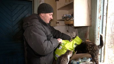 "Їхню біду сприймаю, як свою особисту": на Чернігівщині чоловік влаштував притулок для 30 котів "Їхню біду сприймаю, як свою особисту": на Чернігівщині чоловік влаштував притулок для 30 котів