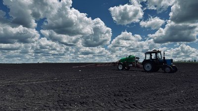 На Кіровоградщині озима совка пошкоджує посіви соняшника: на окремих полях втратили до 60% сходів На Кіровоградщині озима совка пошкоджує посіви соняшника: на окремих полях втратили до 60% сходів