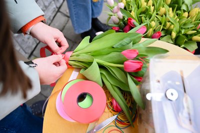 У Полтаві продаватимуть тюльпани, щоб зібрати кошти для військових