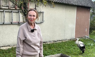 "Льоліку буде тепленько": волинянка прихистила травмованого лелеку "Льоліку буде тепленько": волинянка прихистила травмованого лелеку