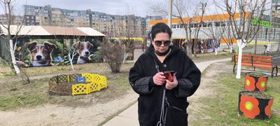"Одна собака буквально 15 хвилин прожила". У Кривому Розі невідомі отруїли собак "Одна собака буквально 15 хвилин прожила". У Кривому Розі невідомі отруїли собак
