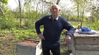 "Бортництво. Глядіння пчіл по-Баївськи": як на Волині бережуть нематеріальну культурну спадщину "Бортництво. Глядіння пчіл по-Баївськи": як на Волині бережуть нематеріальну культурну спадщину