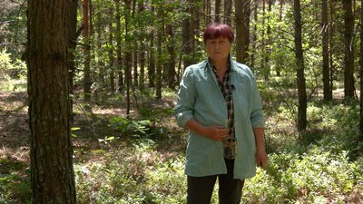 Він — по гриби, вона — по ягоди: як подружжя пенсіонерів збирає лисички й чорниці у лісах Чернігівщини Він — по гриби, вона — по ягоди: як подружжя пенсіонерів збирає лисички й чорниці у лісах Чернігівщини