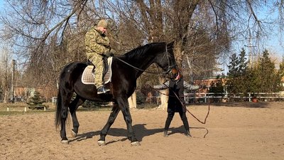"Дуже лагідний, терплячий". Як бійці 111 бригади ТрО проходять іпотерапію "Дуже лагідний, терплячий". Як бійці 111 бригади ТрО проходять іпотерапію