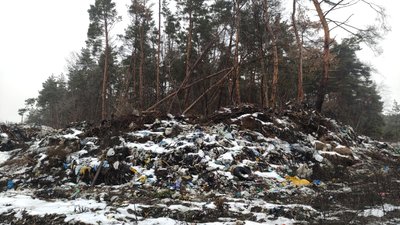 На Полтавщині ділянку в лісі використовували, як сміттєзвалище: подробиці судової справи На Полтавщині ділянку в лісі використовували, як сміттєзвалище: подробиці судової справи