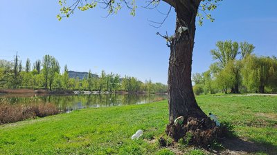 Пляж у мікрорайоні Ковалівка Пляж у мікрорайоні Ковалівка