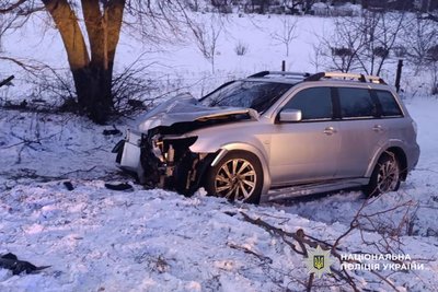 Травми отримав водій та 17-річний пасажир: на Черкащині водій автомобіля в'їхав у дерево Травми отримав водій та 17-річний пасажир: на Черкащині водій автомобіля в'їхав у дерево