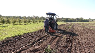 Фундук на Рівненщині: садівники освоюють нову нішу агробізнесу Фундук на Рівненщині: садівники освоюють нову нішу агробізнесу