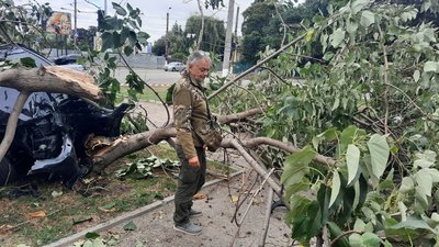 У Кропивницькому легковик в'їхав у газон та повалив дерево У Кропивницькому легковик в'їхав у газон та повалив дерево