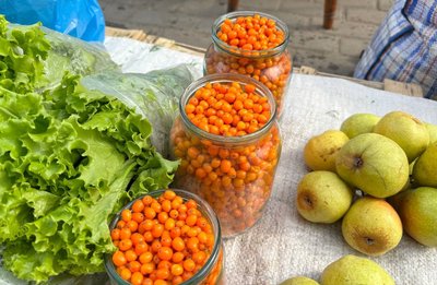 Ціни на ягоди та мед на Житньому ринку Житомира: що пропонують продавці Ціни на ягоди та мед на Житньому ринку Житомира: що пропонують продавці