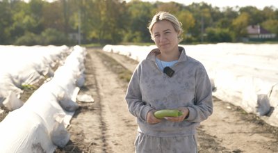 Осінній урожай кабачків: як фермери Черкащини продовжують сезон до холодів