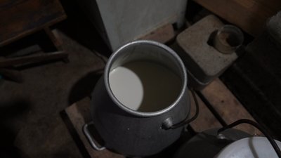 "Кози – найрозумніші створіння": як працює козина ферма на Сумщині "Кози – найрозумніші створіння": як працює козина ферма на Сумщині
