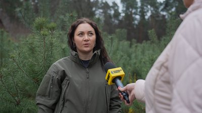 Де на Сумщині придбати ялинку та які ціни Де на Сумщині придбати ялинку та які ціни