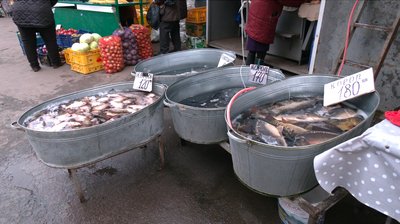Жива риба на ринку Рівного: які ціни восени та що купують найчастіше Жива риба на ринку Рівного: які ціни восени та що купують найчастіше