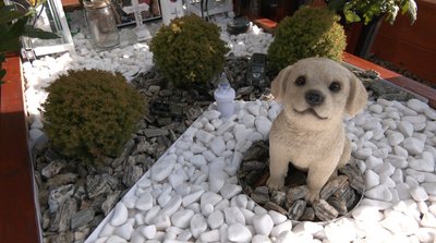 позивний залізняк, максим кузів, бригада холодний яр позивний залізняк, максим кузів, бригада холодний яр
