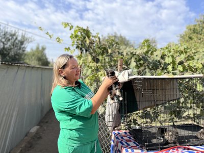 Притулок для тварин собаки коти Костянтинівка Донецька область 4 жовтня 2024 Притулок для тварин собаки коти Костянтинівка Донецька область 4 жовтня 2024