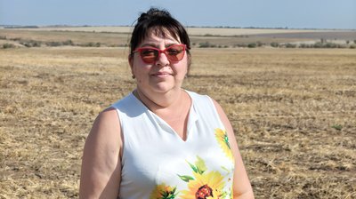 На Миколаївщині зібрали понад два мільйона тонн зерна: як тривають жнива та що з цінами