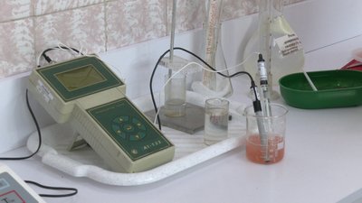 Помідори перевірили на відсоток нітратів Помідори перевірили на відсоток нітратів