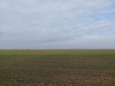 Поле на Львівщині Поле на Львівщині