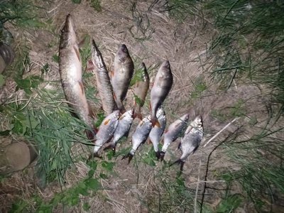 На Житомирщині за тиждень зафіксували 14 порушень правил рибальства На Житомирщині за тиждень зафіксували 14 порушень правил рибальства