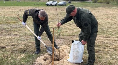 Алею із дубів Тараса Шевченка висадили у Сарнах на Рівненщині